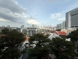 Blk 10 Farrer Park Gardens (Kallang/Whampoa), HDB 3 Rooms #518961061